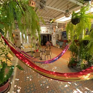 Casa Linda Séjour chez l'habitant Santa Marta (Magdalena)